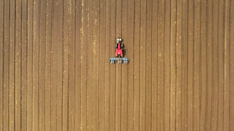 Watermelon cultivation process with a Seeding tractor. Stock Footage 130102993