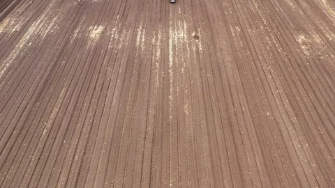 Watermelon cultivation process with a Seeding tractor. Stock Footage 130103722