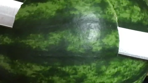 Watermelon Cut Close Up Video stock 94154160