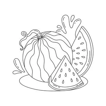 Watermelon doodle Vector illustration coloring book for Kids Stock Illustration