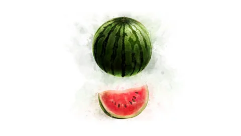Watercolor Watermelon Stock Videos – Royalty-Free HD & 4K Videos | Pond5