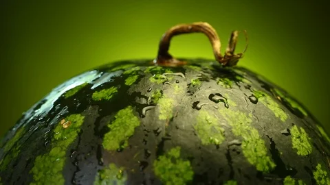 Watermelon with drops of water Stock Footage 119372322