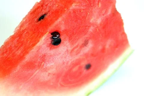 Watermelon with dry stem Photos