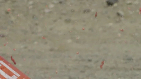 Watermelon Exploding in Slow Motion Extreme Close Up Stock Footage 218402952