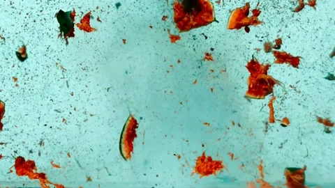 Watermelon explosion, Ultra Slow Motion Stock Footage 159922768