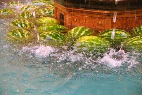Watermelon floating in flooded cellar. Heavy rain causing indoor flooding and Stock Photos