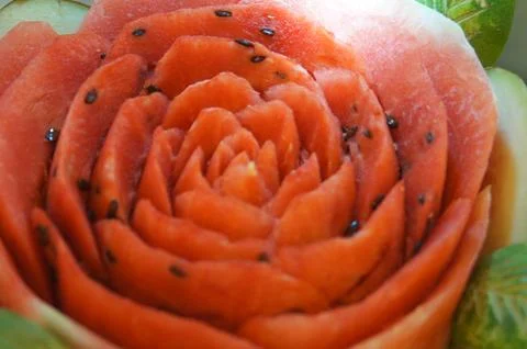 Watermelon flower Stock Photos