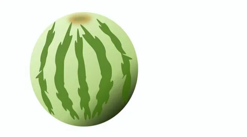 Watermelon Stock Footage 7904518