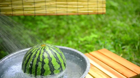 Watermelon Stock Footage 58954729
