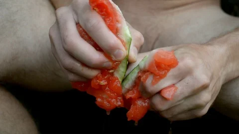 Watermelon Stock Footage 103588680