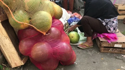 Watermelon Stock Footage 205493052