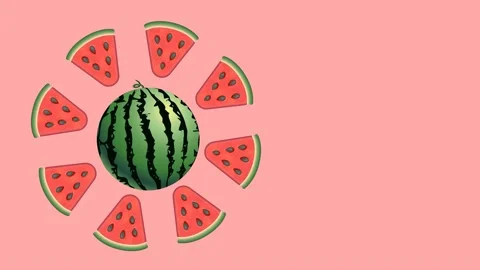 Watermelon Stock Footage 207661865