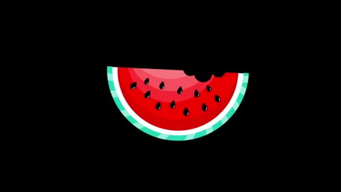 WATERMELON Video stock 242096556