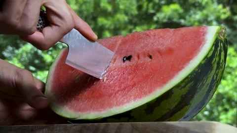 Watermelon. Stock Footage 277789868