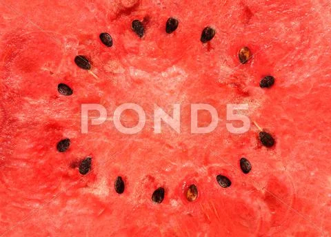 Watermelon frame Stock Illustration