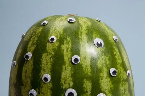 Watermelon freak Stock Photos