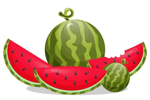 Watermelon fruit Stock Illustration