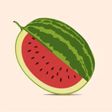 Watermelon fruit isolated background Stock Illustration