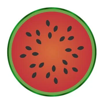 Watermelon fruit isolated on white background. Stock Illustration