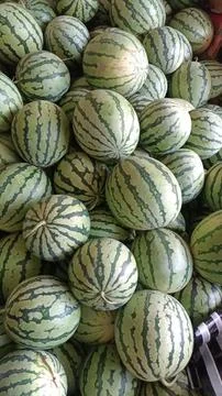 Watermelon fruit 库存照片