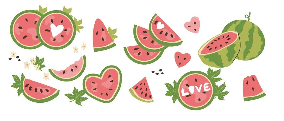 Watermelon Fruit Set Vector Illustration in Cartoon Style for Summer Themes Stock Illustration