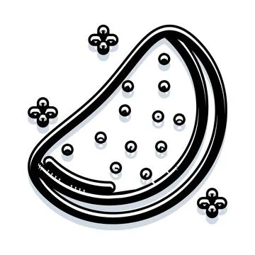 Watermelon fruit slice black and white line art Stock Illustration