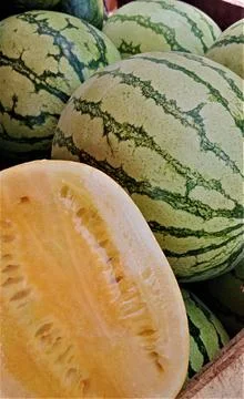 Watermelon fruits Stock Photos
