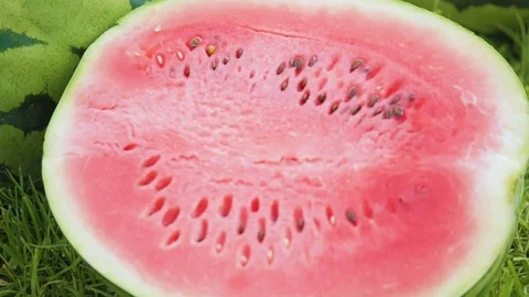Watermelon on a green field Stock Footage 73838235