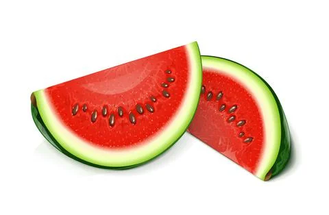Watermelon. Green Juicy Fruit, Isolated on White Background, Watermelons real Stock Illustration