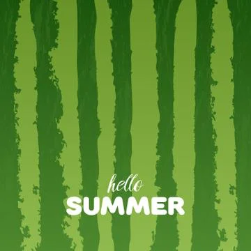 Watermelon green texture background with Hello Summer letters vector illust.. 库存插图