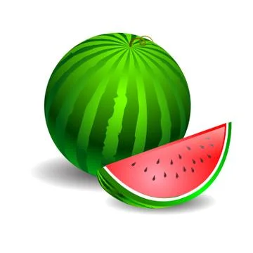 Watermelon green on a white background Stock Illustration