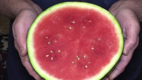 Watermelon in the hand, close-up Video stock 160362944