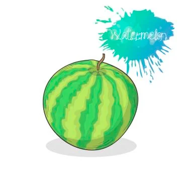 Watermelon icon vector illustration Stock Illustration