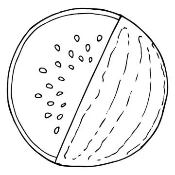 Watermelon icon. Vector illustration of a watermelon.  Hand drawn watermelon. Stock Illustration