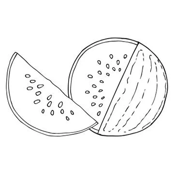 Watermelon icon. Vector illustration of a watermelon.  Hand drawn watermelon. Stock Illustration