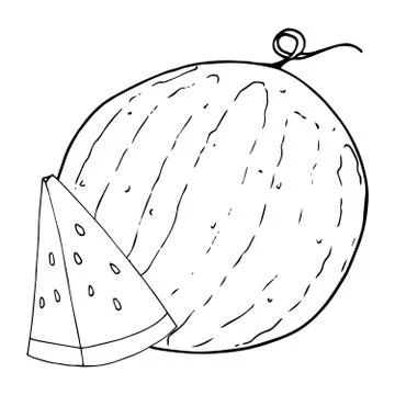 Watermelon icon. Vector illustration of a watermelon.  Hand drawn watermelon. Stock Illustration