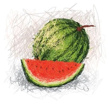 Watermelon Stock Illustration