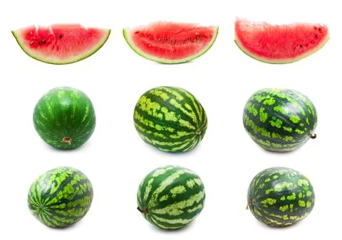 Watermelon Stock Illustration