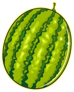 Watermelon Stock Illustration