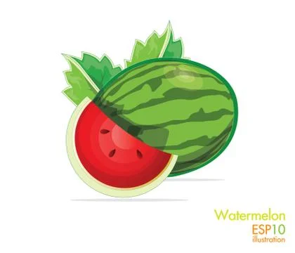 Watermelon Stock Illustration