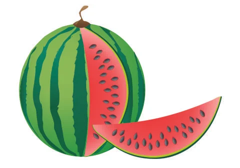 Watermelon Stock Illustration