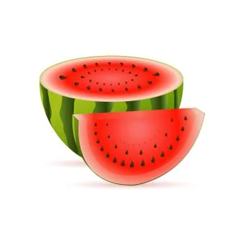 Watermelon Stock Illustration