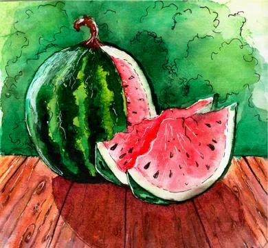 Watermelon Illustration