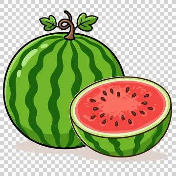 Watermelon Stock Illustration