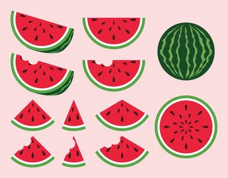 Watermelon illustration collection eps Vector Stock Illustration