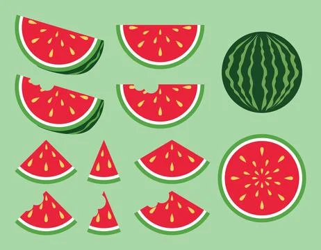 Watermelon illustration collection eps Vector Stock Illustration