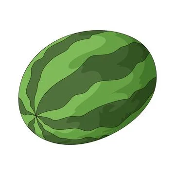Watermelon illustration Stock Illustration