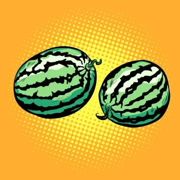 Watermelon, isolated on a neutral background Stock Illustration
