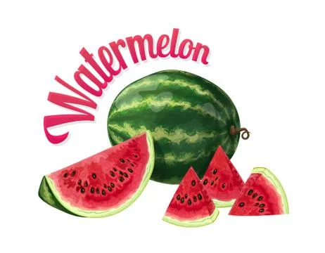 Watermelon. Isolated objects on a white background Stock Illustration
