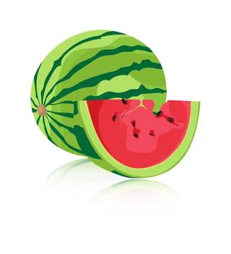 Watermelon isolated on white background. Illustrazione stock